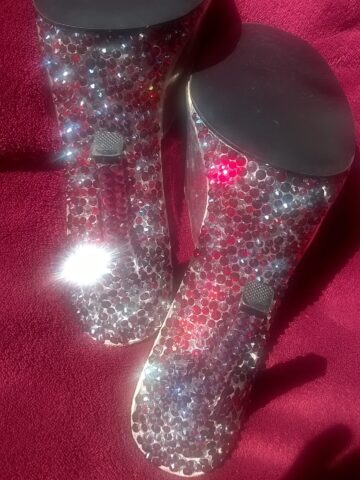 {{brizy_dc_image_alt imageSrc=