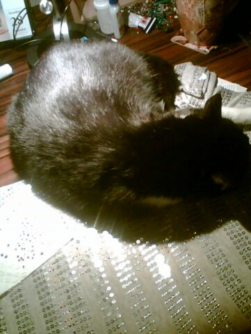 {{brizy_dc_image_alt imageSrc=