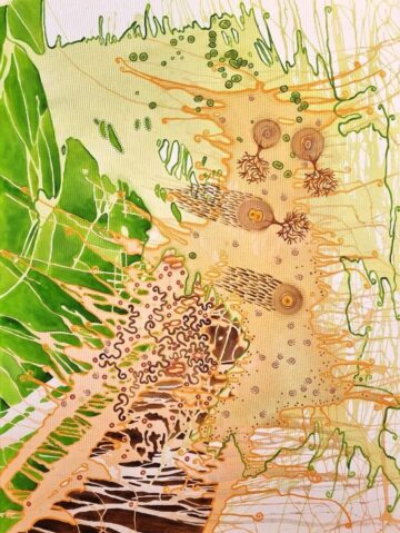 {{brizy_dc_image_alt imageSrc=